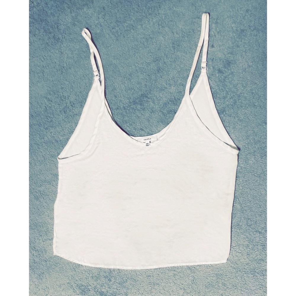 Talula Sheer Cream Camisole (Aritzia)